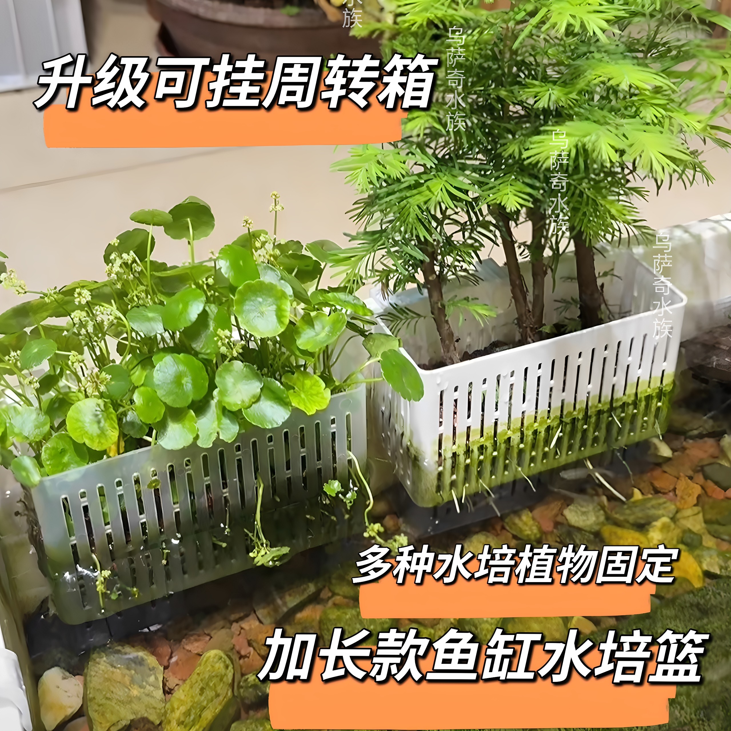 鱼缸红薯绿萝种植壁挂式种植篮挺水生植物水培定植篮造景装饰神器