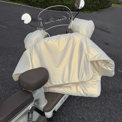 <高颜值>小车专用》冬款挡风被