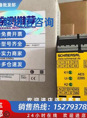 议价Schmersal 101172211全新安全继电器AES2285-24VDC全新