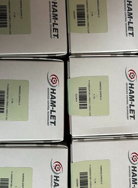 议价HAM-LET哈姆雷特3/4卡套球阀H6800SSL3/4IPSS 全新原装