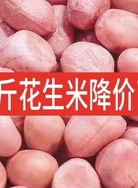 新货特级大粒现剥白沙花生仁