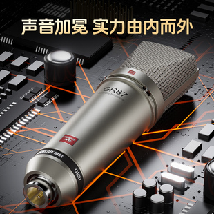 Takstar得胜GR87专业大振膜电容麦克风K歌主直播录音设备话筒通用