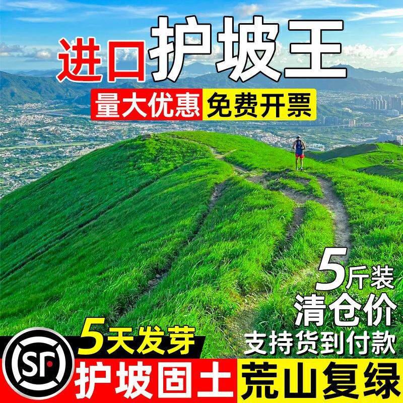 护坡固土草坪草籽四季常青耐旱绿化边坡山坡护坡王复绿种子