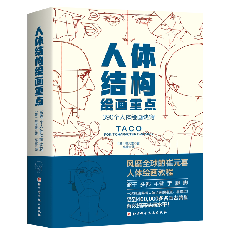 人体结构绘画重点人体结构绘画
