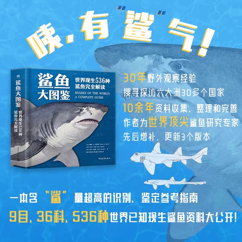 鲨鱼大图鉴世界现生536种鲨鱼