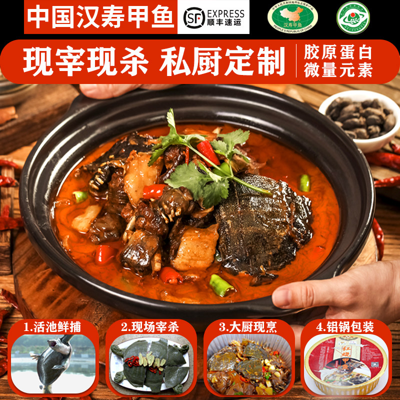 汉寿甲鱼火锅现杀外塘青黄背老甲鱼王八老鳖湖南甲鱼苗