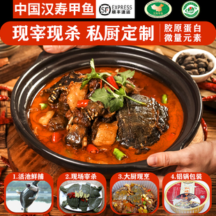 汉寿甲鱼火锅现杀外塘青黄背老甲鱼王八老鳖湖南甲鱼苗