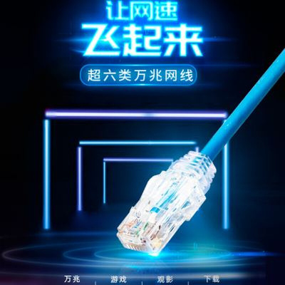 泛达超d六类七类细成品网线非z屏蔽家用电脑线万兆高速网线1米