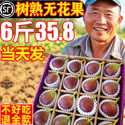 [顺丰包邮]香甜无花果6斤35.8