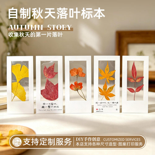 秋季干花压花书签DIY标本材料包