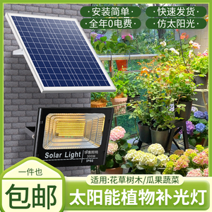 新仿太阳光太阳能植物生长灯