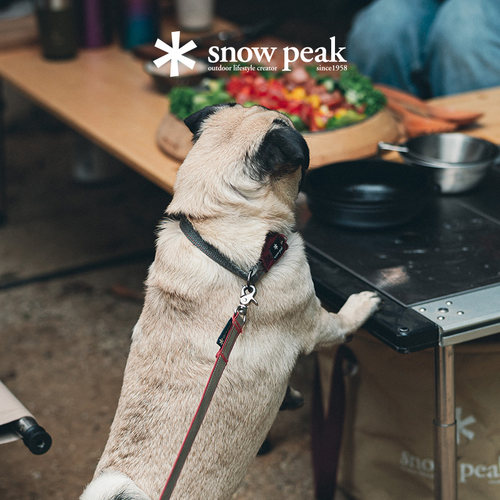 snowpeak宠物外出装备宠物项圈