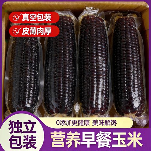 【新疆包邮】黑糯玉米*8根真空锁鲜糯玉米粗粮健康代餐颗粒饱满