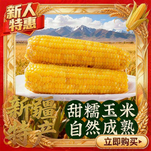新疆直发黄糯玉米整箱8大根支持试吃两根绿色有机软糯拉丝