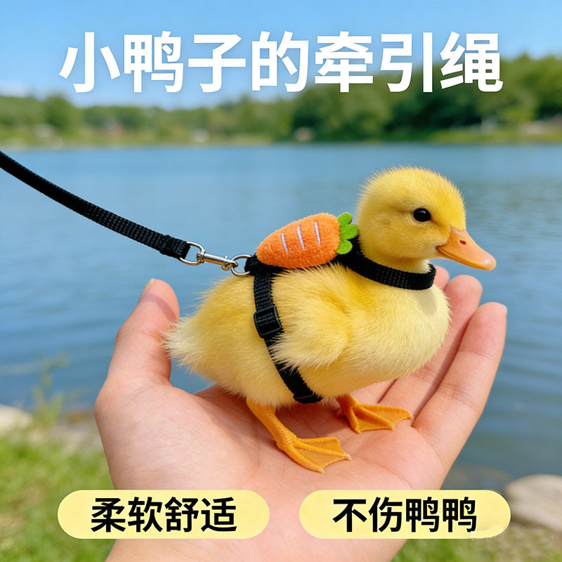 小鸭子绳子溜宠物小鸡柯尔鸭外出专用绳子宠物鸭出门的衣服遛鸭绳