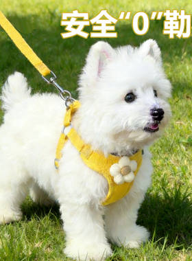 背心式狗狗牵引绳遛狗胸背中小型犬背带拴狗绳幼犬柯基宠物狗链子