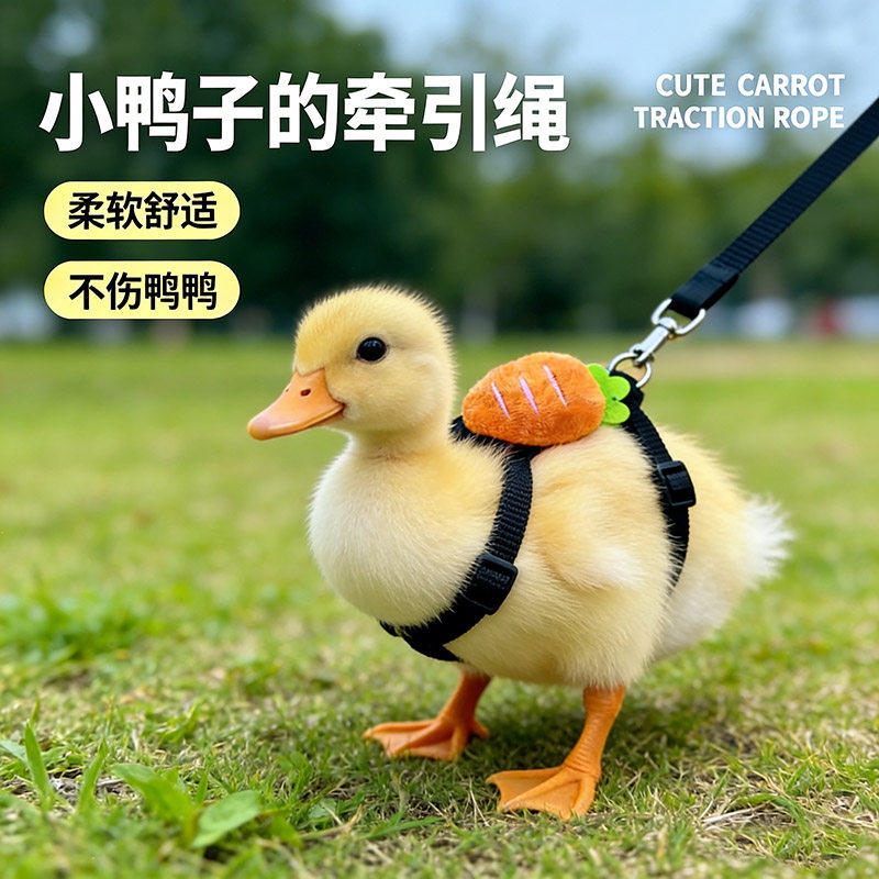 小鸭子的牵引绳溜小鸡柯尔鸭外出专用绳子宠物鸭出门的衣服遛鸭绳