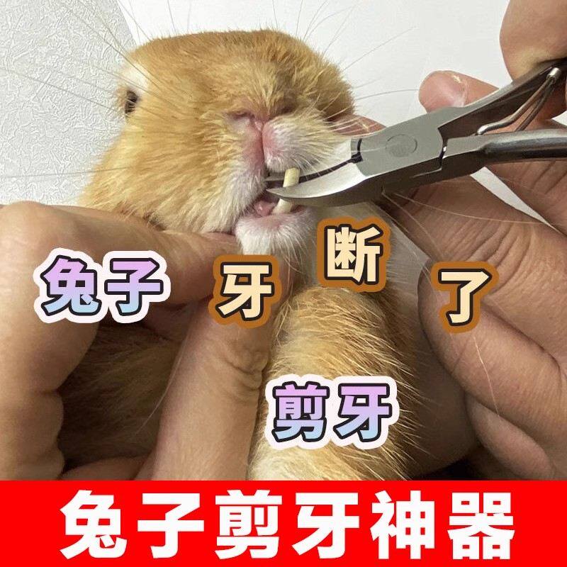 兔子剪牙钳子剪指甲刀侏儒兔小猪仔剪乳牙神器牙齿修剪不锈钢工具