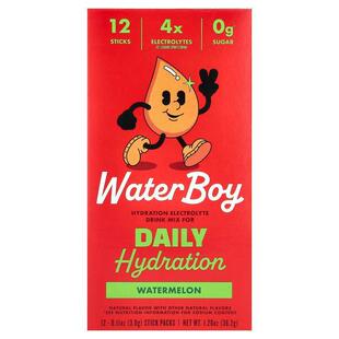 Waterboy,每日补水，电解质混合饮品，西瓜味，12 条，每条 0.11