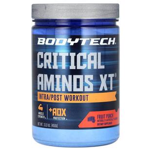 BodyTech,Critical Aminos XT，锻炼中/锻炼后，水果混合，15.9 4