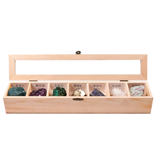 天然水晶矿石标本孔雀石矿物原石古生物菊石海螺昆虫化石标本套装