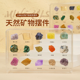 天纵晶华天然水晶矿石原石菊石古生物化石收藏标本摆件礼物套装