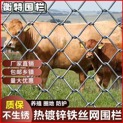 镀锌铁丝网围栏防护网勾花网钢丝网养殖羊牛猪栏网果园栅栏护栏网