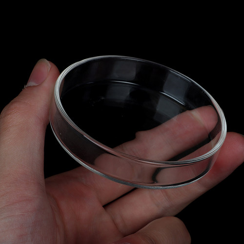 Clear Glass Glass Petri Dishes Cell Sterile Culture Dish Lab