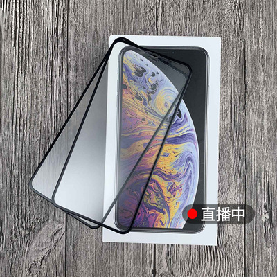 2Pcs No Fingerprint Matte Tempered Glass for  11 12 XS Max
