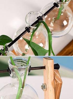 .. Hydroponic Plant Vases Transparent Terrarium Glass Bulb