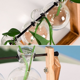 Terrarium Vases Transparent Bulb Glass Hydroponic Plant