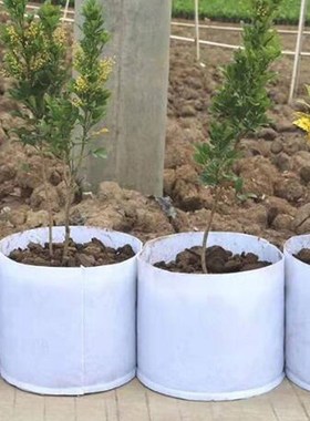 Non Woven Grow Bag Aeration Pot Containers Plant bag 5 Size