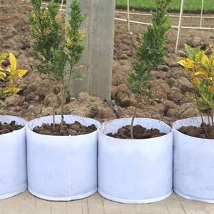 Non Woven Grow Bag Aeration Pot Containers Plant bag 5 Size
