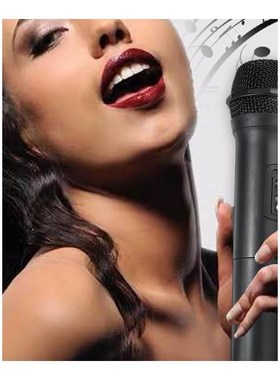 2Pcs VHF Microphone Professionnel Wireless Condenser Karaoke
