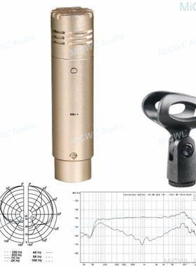 Pro Studio Condenser Microphone Overhead Mic Slim Pencil St