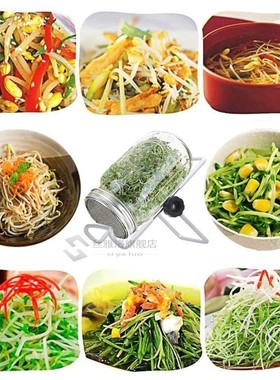 1Set Seed Sprouter Germination Cover Kit Sprouting Mason Jar