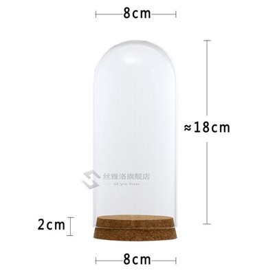*Clear Glass Display Dome Cover Cloche Bell Jar Succulent Te