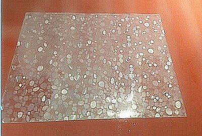 Plastic floormat PVC transparent door Entry mat Wood Floor P