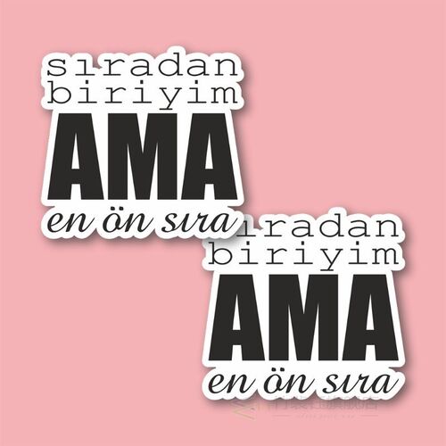 Ordinary Biriyim Laptop and Phone Sticker-Decal max.5cm 2