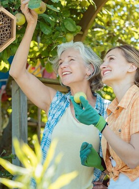 Handmade Natural Bamboo Bee Hive Mason Bee House Attracts Pe