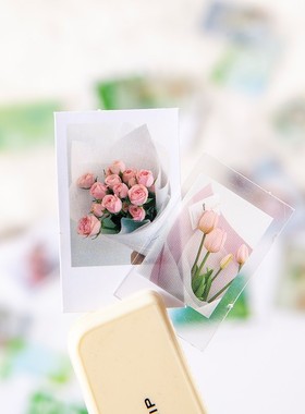 VanYi 8 Designs 30Pcs/lot Human Gentle INS Sunflower Statio