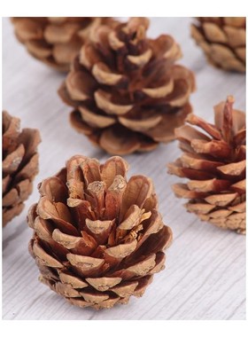 10pcs Natural Pine Cones Photo Props Accessories Christmas D