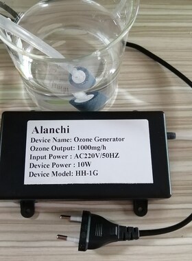 Portable Ozone Generator air purifier 1g 1000mg Air Water Pu