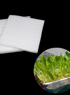 1 Pack(64/100Pcs) PU Sponge Hydroponic Nursery Plant Soilles