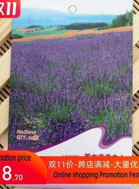 “Popular 20pcs flower lavender seeds Home OFFICE Plant