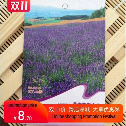 “Popular 20pcs flower lavender seeds Home OFFICE Plant