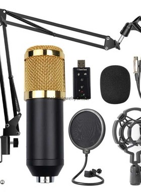 Live Broadcasting Recording Condenser Microphone Set for Com