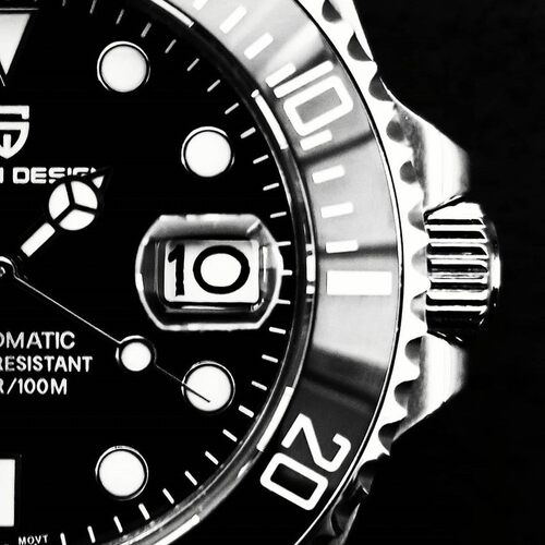2020 PAGANI DESIGN Brand Automatic Mechanical Men Watch Spo