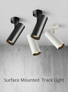 Surface Mounted rack Light Ceiling Lamp Fixture Spots led 5W