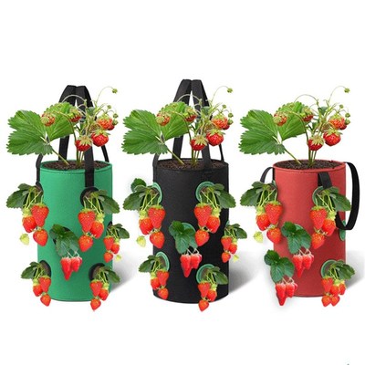 1Pc Strawberry Tomato Growing Bag 10 Hole Hanging Vegetable